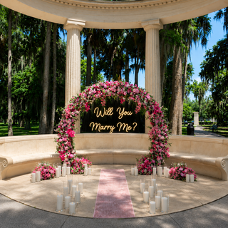 Hot Pink Round Arch, 36 Candles, 2 Balls, Carpet, Neon Sign 