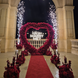 Set: Arch, Neon Sign, 2 sparklers, 2 Pedestals, 8 Balls, Carpet