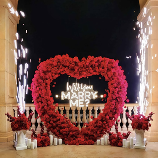 Set: Arch, 2 Sparklers, 4 Flower Balls, 2 Pedestals, 12 Candles, Neon Sign