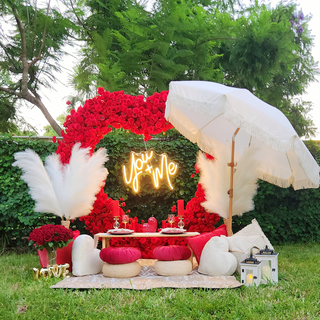 Set: Arch, Neon Sign, Arranged Table, Pillows, Umbrella, Pampas