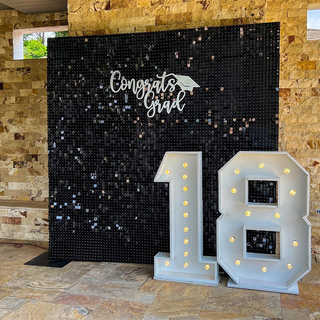 Shimmer Wall Backdrop Black